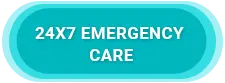 24/7 emergency care